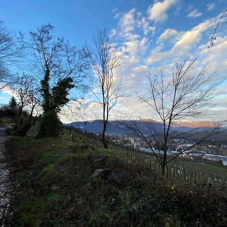 Casa Pigano Apartman Appiano Sulla Strada Del Vino Kültér fotó